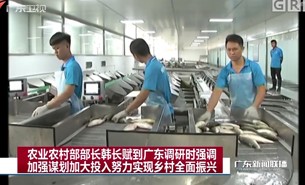 農(nóng)業(yè)農(nóng)村部部長韓長賦到何氏水產(chǎn)親睹珠海大航活魚分選機的風采