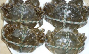 大閘蟹自動(dòng)分揀機(jī),陽(yáng)澄湖大閘蟹開(kāi)湖上市前緊密備貨