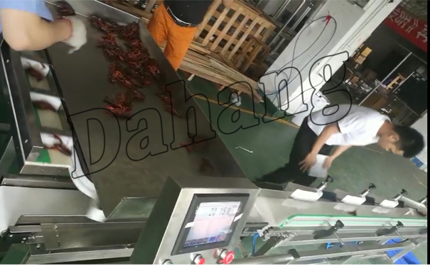 1528959908695893.jpg 等距上料+小龍蝦分選.jpg